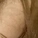 angelesyeligf