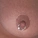 cascadecougar