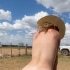 Skylar profile picture