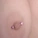 danielleivy01